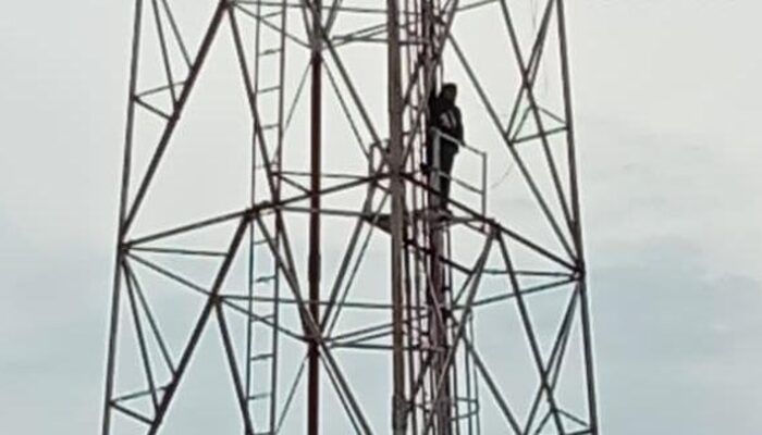 Pemuda 24 Tahun di Sidoarjo Selamat Usai Panjat Tower Selama 3 Jam, Diduga Depresi Akibat Asmara