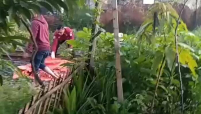 Perempuan 26 Tahun Tewas Tertabrak KA di Pasuruan, Polisi Selidiki Dugaan Bunuh Diri di Perlintasan Rel