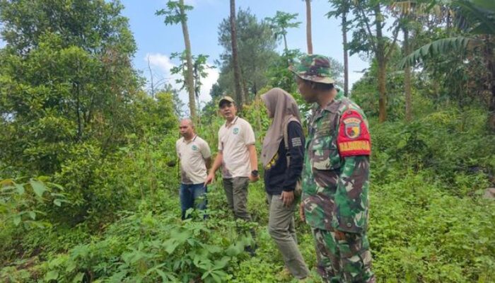 Retakan Tanah 30 Meter di Lereng Gunung Wilis Nganjuk Picu Kekhawatiran, BPBD Siaga Ancaman Longsor