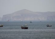 Selat Hormuz Lumpuh Total! Kapal Nyaris Tak Bergerak, Iran vs AS Memanas, Dunia Waspada Krisis Energi