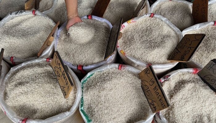 Stok Beras RI Tembus 4,4 Juta Ton, Mentan Targetkan 5 Juta Ton April 2026 Hadapi Ancaman El Nino