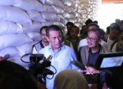 Stok Beras RI Tembus Rekor 4,9 Juta Ton, Pemerintah Klaim Siap Hadapi Ancaman El Nino dan Krisis Global