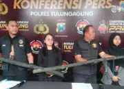 Terbongkar! 10 Komplotan Pencuri Kabel Telkom di Tulungagung Ditangkap, Ternyata Karyawan Mitra Sendiri