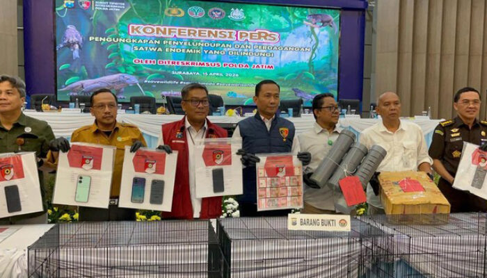 Terbongkar! Penyelundupan Anakan Komodo dalam Pipa Paralon Digagalkan Polda Jatim, 6 Pelaku Ditangkap