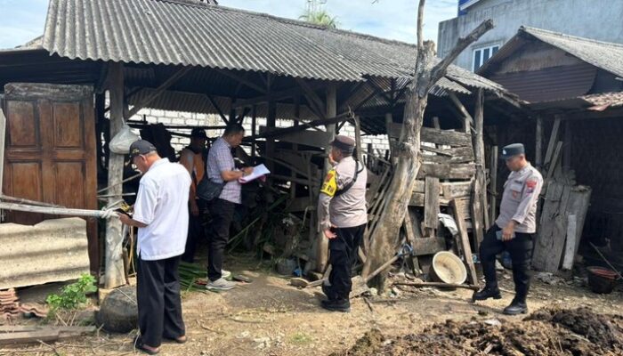 Teror Maling Sapi Jelang Idul Adha di Tuban! 6 Ekor Raib dalam Semalam, Kerugian Puluhan Juta