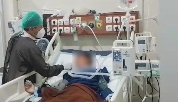 Tragis! Bocah 12 Tahun Dipatuk Ular Weling Saat Tidur, Dirawat 10 Hari di ICU, Biaya Tembus Rp 200 Juta