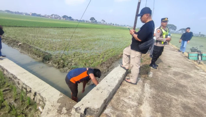 Tragis! Wanita Tewas Dicekik di Sawah Sragen, Pelaku Selingkuhan Ditangkap 18 Jam, Fakta Kehamilan Terbantahkan