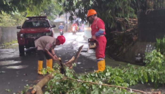 Hujan Deras Terjang Sleman: Longsor, Banjir, dan Pohon Tumbang Terjadi Serentak, Rumah Warga Tergenang hingga 30 Cm
