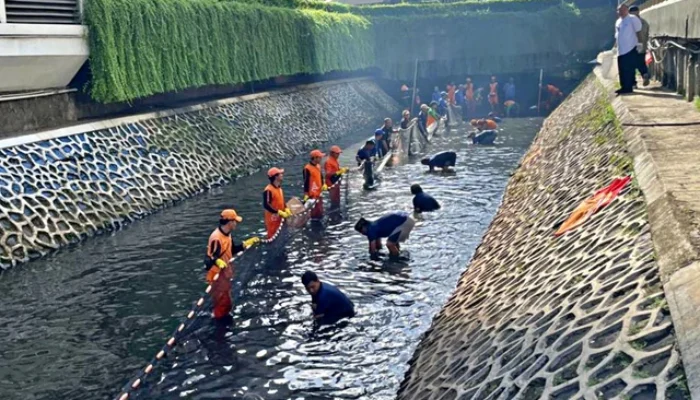 Gerakan Serentak Berantas Ikan Sapu-Sapu di Jakarta Dimulai 17 April, Gubernur Pramono Anung: Berbahaya dan Rusak Ekosistem!