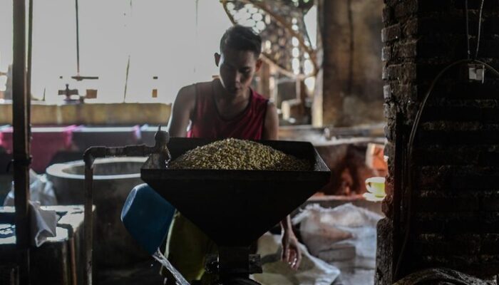 Harga Kedelai Tembus Rp20 Ribu di Jakarta, Pemprov DKI Dorong Urban Farming untuk Jaga Ketahanan Pangan