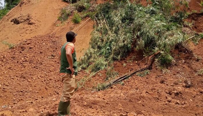 Longsor Parah di Cilacap! Akses Majenang–Wanareja Lumpuh Total, Material Setinggi 10 Meter Tutup Jalan