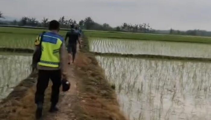 Tragis! Lansia di Grobogan Tewas Tersambar Petir Saat Pulang dari Sawah, Polisi Beri Imbauan Keselamatan