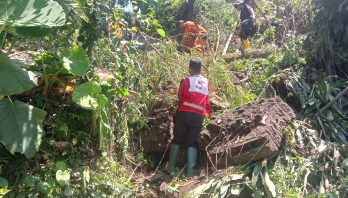Tanah Longsor dan Pohon Tumbang di Kepatihan Jember, PMI Gerak Cepat Evakuasi Warga