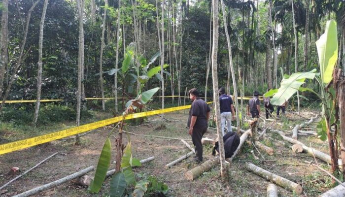 Duel Carok Maut di Lumajang Dipicu Dendam Lama, Bermula dari Daun Nangka untuk Pakan Ternak