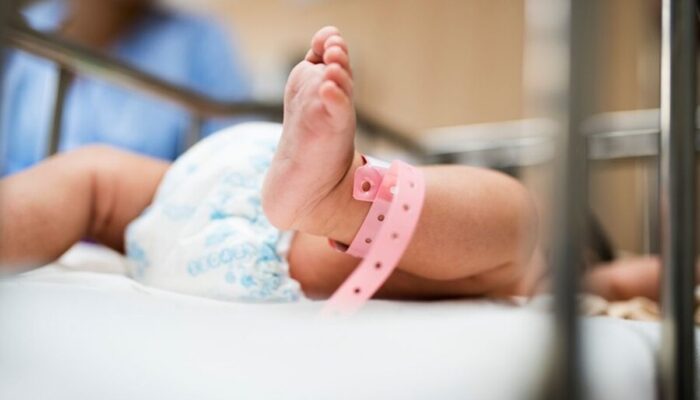 Geger! Bayi Perempuan Ditemukan Hidup di Samping Kandang Sapi di Situbondo