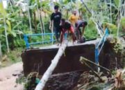 Jembatan Putus Diterjang Banjir di Jember, Akses Warga Lumpuh Total Usai Hujan Deras