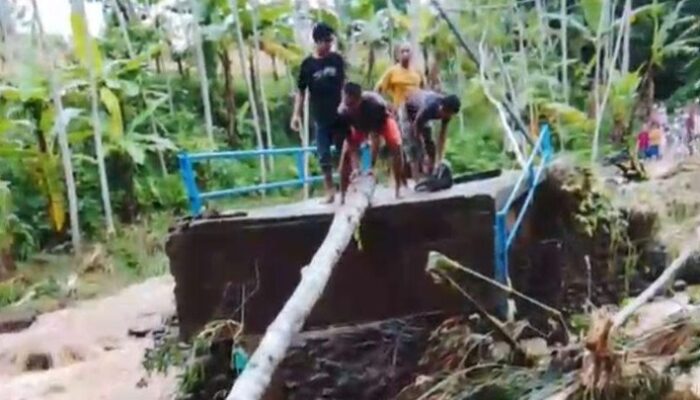 Jembatan Putus Diterjang Banjir di Jember, Akses Warga Lumpuh Total Usai Hujan Deras