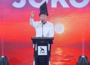 Jokowi Siap Turun Gunung untuk Sapa Rakyat dan PSI, Relawan Bongkar Rencananya