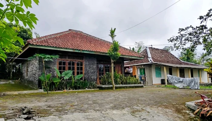 Kasus 11 Bayi di Sleman Menggemparkan, Dinsos Pastikan Anak-anak Segera Dipertemukan dengan Orang Tua Kandung