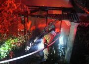 Rumah Warga di Bojonegoro Ludes Terbakar, Diduga Dibakar Anak Kandung yang Alami Gangguan Jiwa