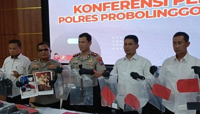 Terbongkar! Sindikat Pencuri Sapi di Probolinggo Digulung Polisi, Beraksi Terorganisir Lintas Wilayah