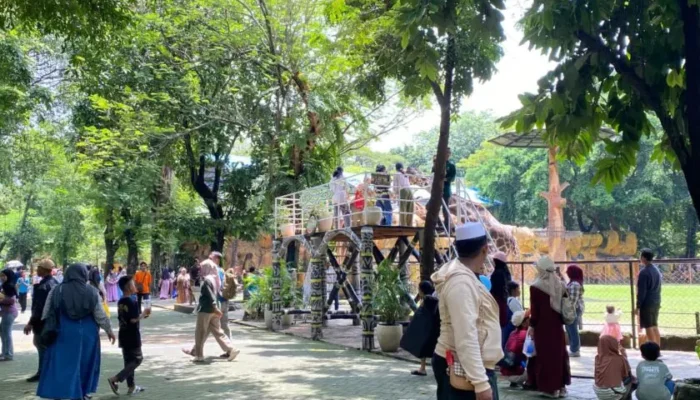 Libur Idul Adha 2026, Kebun Binatang Surabaya Diserbu Ribuan Wisatawan Keluarga