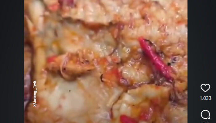 Viral Belatung di Menu MBG SMK Pekalongan, SPPG Akui Kelalaian dan Evaluasi Dapur Penyedia