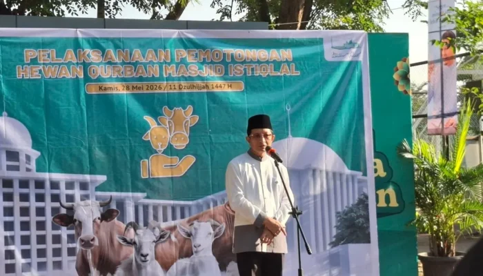 Masjid Istiqlal Potong 65 Sapi Kurban, ‘Si Loreng’ Milik Presiden Prabowo Jadi Sorotan