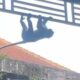 Monyet Ekor Panjang Berkeliaran di Permukiman dan Sekolah Kota Malang, Warga Diminta Waspada