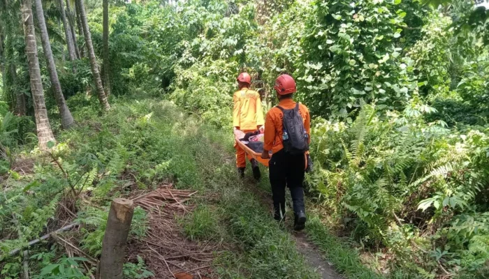 Tragedi Gunung Dukono: 3 Pendaki Tewas Terjebak Erupsi, 2 WNA Singapura dan 1 WNI