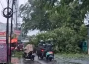 Hujan Disertai Angin Kencang Terjang Bekasi, 5 Kelurahan Terdampak Pohon Tumbang