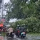 Pohon tumbang di Kelurahan Jatiluhur membuat pengendara sepeda motor terhalang saat hendak melintas, Jumat, 1 Mei 2026. (Foto Tangkapan Layar Video Warga)