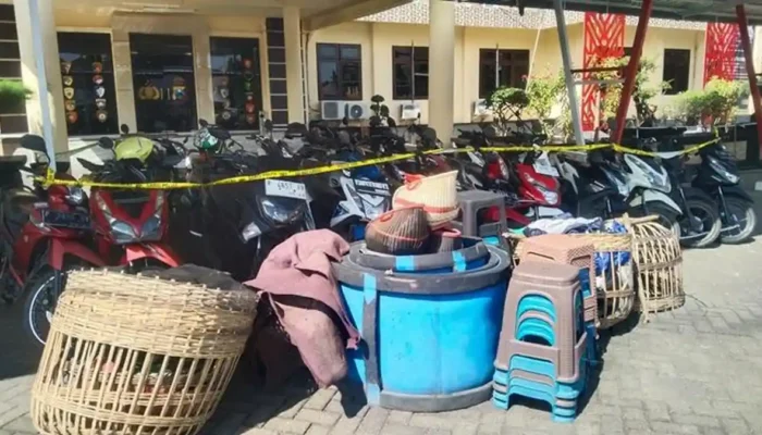 Polisi Gerebek Arena Judi Sabung Ayam di Situbondo, 6 Pelaku dan 29 Motor Diamankan