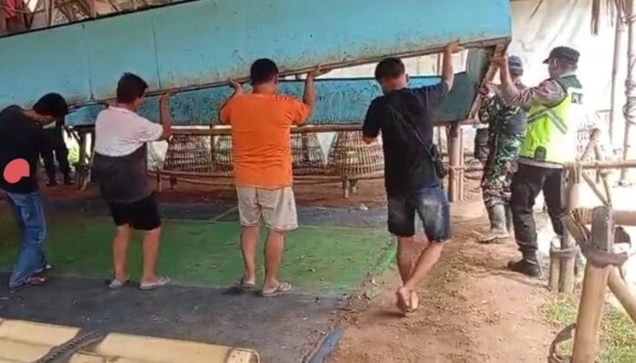 Polisi Bongkar Arena Judi Sabung Ayam dan Dadu di Kebumen, Gubuk Penjudi Dibakar Warga