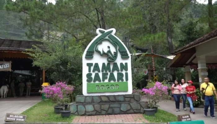 Taman Safari Siap Ambil Alih Kebun Binatang Bandung! Fokus Selamatkan Satwa dan Benahi Pengelolaan