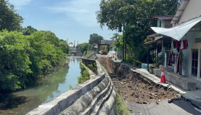 Jalan dan Tanggul Sungai Silandak Semarang Ambles 41 Meter, Warga Curiga Ikan Sapu-Sapu Jadi Penyebab