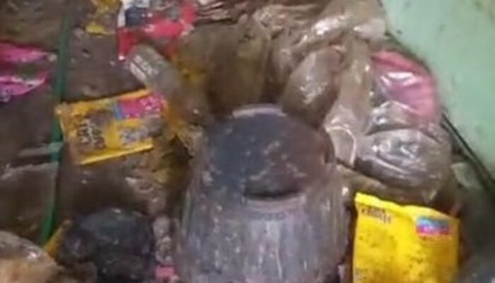 Viral Kontrakan Horor di Bekasi! Dipenuhi Bangkai Kucing dan Kotoran, Pemilik Syok Saat Pintu Dibuka