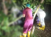 Sesosok mayat perempuan ditemukan tergantung di kebun warga Kampung Pakel, Kelurahan Gelam, Kecamatan Cipocok Jaya