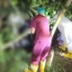 Wanita Ditemukan Tewas Tergantung di Kebun Serang, Keluarga Curiga Korban Dibunuh
