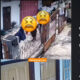 Viral ‘Begal Pantat’ di Magelang Terekam CCTV, Pelaku Bermotor Tanpa Pelat Diduga Incar Mahasiswi
