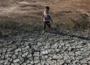 Jangan Keliru! BMKG Jelaskan Perbedaan Kemarau dan El Nino: Dampaknya Bisa Lebih Ekstrem di 2026
