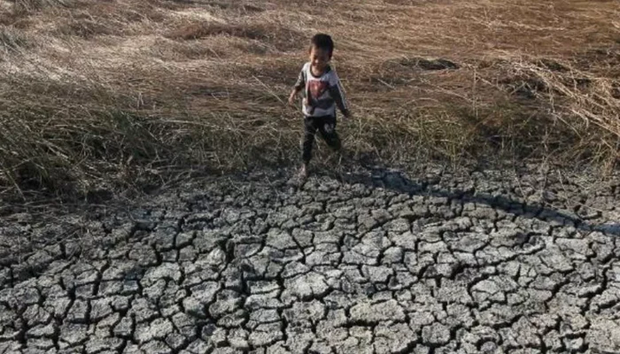 Jangan Keliru! BMKG Jelaskan Perbedaan Kemarau dan El Nino: Dampaknya Bisa Lebih Ekstrem di 2026