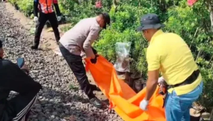 Pemuda Tanpa Identitas Tewas Tertabrak KA di Probolinggo, Masinis Sebut Korban Bergeming di Rel