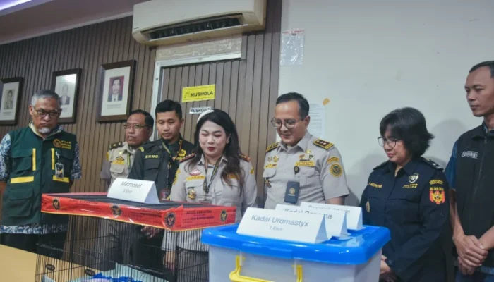 Terbongkar! WNI Selundupkan Satwa dari Thailand Lewat Bandara Soetta, Disembunyikan di Kaos Kaki dan Legging