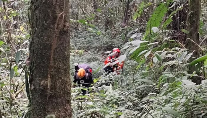 Hari Keempat Terjebak di Jurang Semeru, Pendaki 18 Tahun Belum Berhasil Dievakuasi, Tim SAR Kerahkan Peralatan Khusus