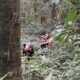 Hari Keempat Terjebak di Jurang Semeru, Pendaki 18 Tahun Belum Berhasil Dievakuasi, Tim SAR Kerahkan Peralatan Khusus