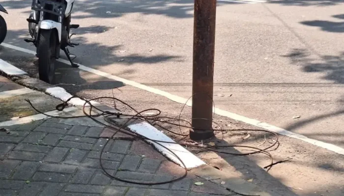 Polisi Periksa Sopir Bus Sekolah Usai Siswi SMAN 6 Jakarta Tewas dalam Kecelakaan, Dugaan Kabel Menjuntai Jadi Pemicu