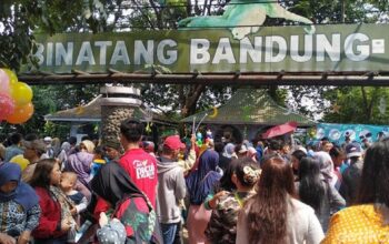 Taman Safari Indonesia Siap Ikut Lelang Pengelolaan Kebun Binatang Bandung, Prioritaskan Konservasi dan Kesejahteraan Satwa