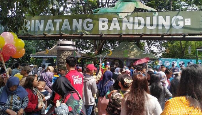 Taman Safari Indonesia Siap Ikut Lelang Pengelolaan Kebun Binatang Bandung, Prioritaskan Konservasi dan Kesejahteraan Satwa