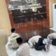 Operasional Haji 2026 Resmi Ditutup, Menhaj Irfan Yusuf Sujud Syukur Setelah 202.636 Jemaah Kembali ke Tanah Air